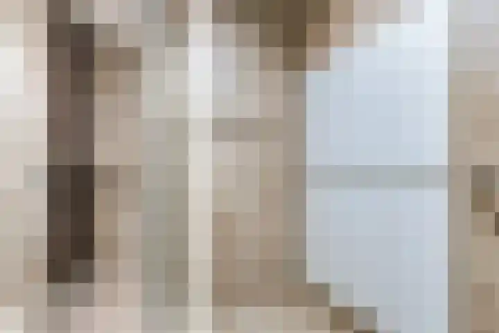 Rondom 41 Bergschenhoek thumbnail 25