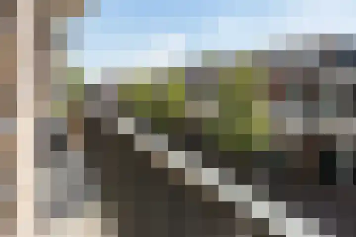 Rondom 41 Bergschenhoek thumbnail 27