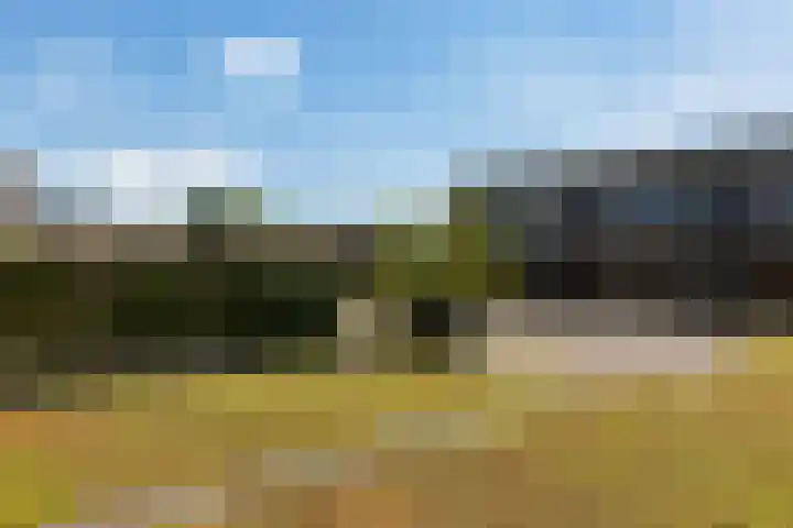 Rondom 41 Bergschenhoek thumbnail 30
