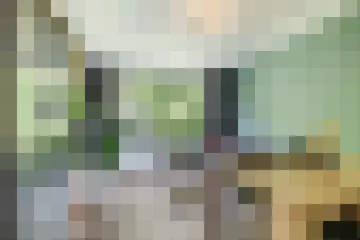 Rondopad 41 Nijmegen thumbnail 18