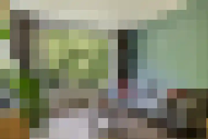 Rondopad 41 Nijmegen thumbnail 19