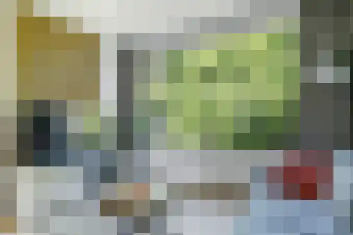 Rondopad 41 Nijmegen thumbnail 20