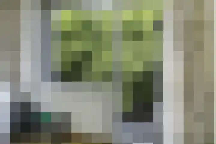 Rondopad 41 Nijmegen thumbnail 27