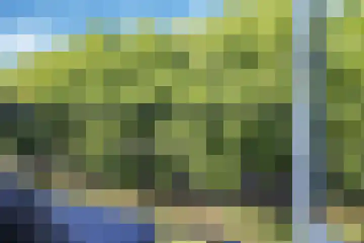 Rondopad 41 Nijmegen thumbnail 28