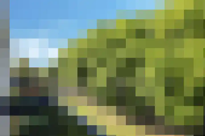 Rondopad 41 Nijmegen thumbnail 29