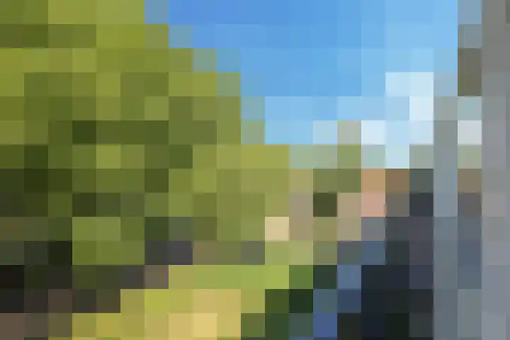 Rondopad 41 Nijmegen thumbnail 31