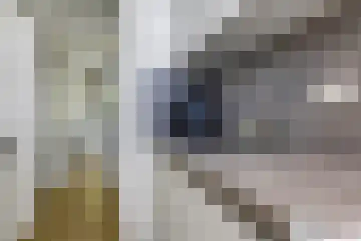 Rondopad 41 Nijmegen thumbnail 36