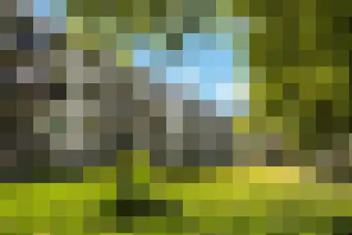Rondopad 41 Nijmegen thumbnail 47