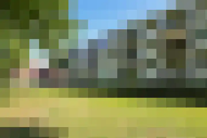 Rondopad 41 Nijmegen thumbnail 49
