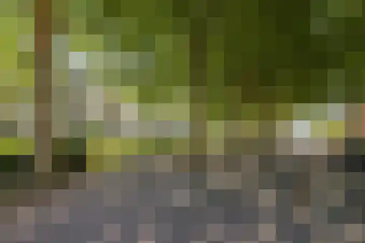 Rondopad 41 Nijmegen thumbnail 50