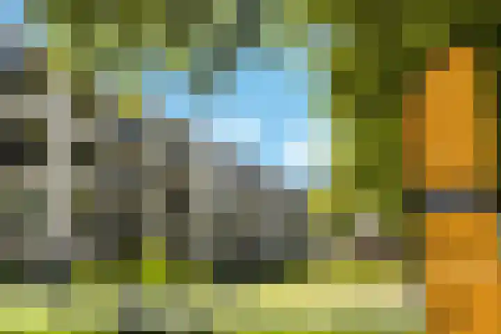 Rondopad 41 Nijmegen thumbnail 51