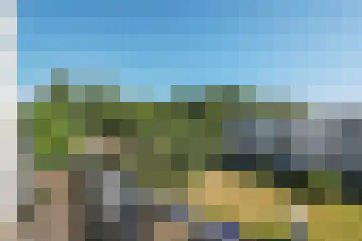 Rondopad 41 Nijmegen thumbnail 55