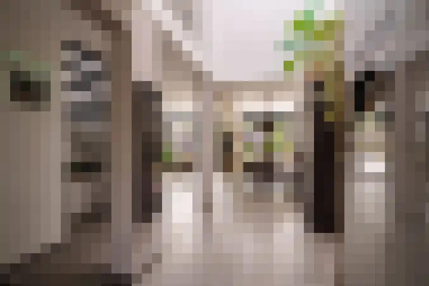 Rondostraat 20 Almere thumbnail 6