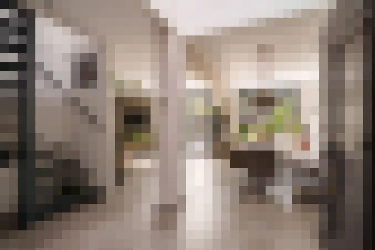 Rondostraat 20 Almere thumbnail 7