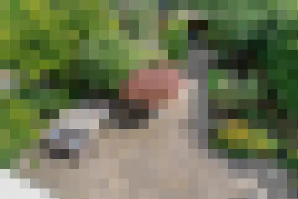 Rondostraat 36 Almere thumbnail 32