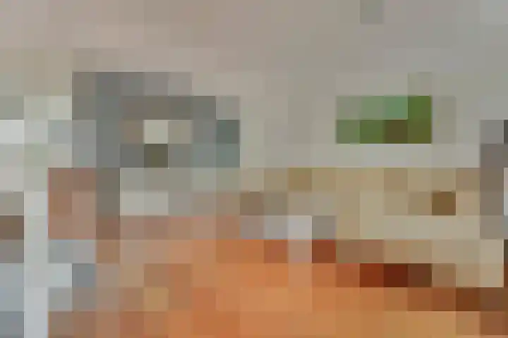 Rondostraat 47 Hellevoetsluis thumbnail 7