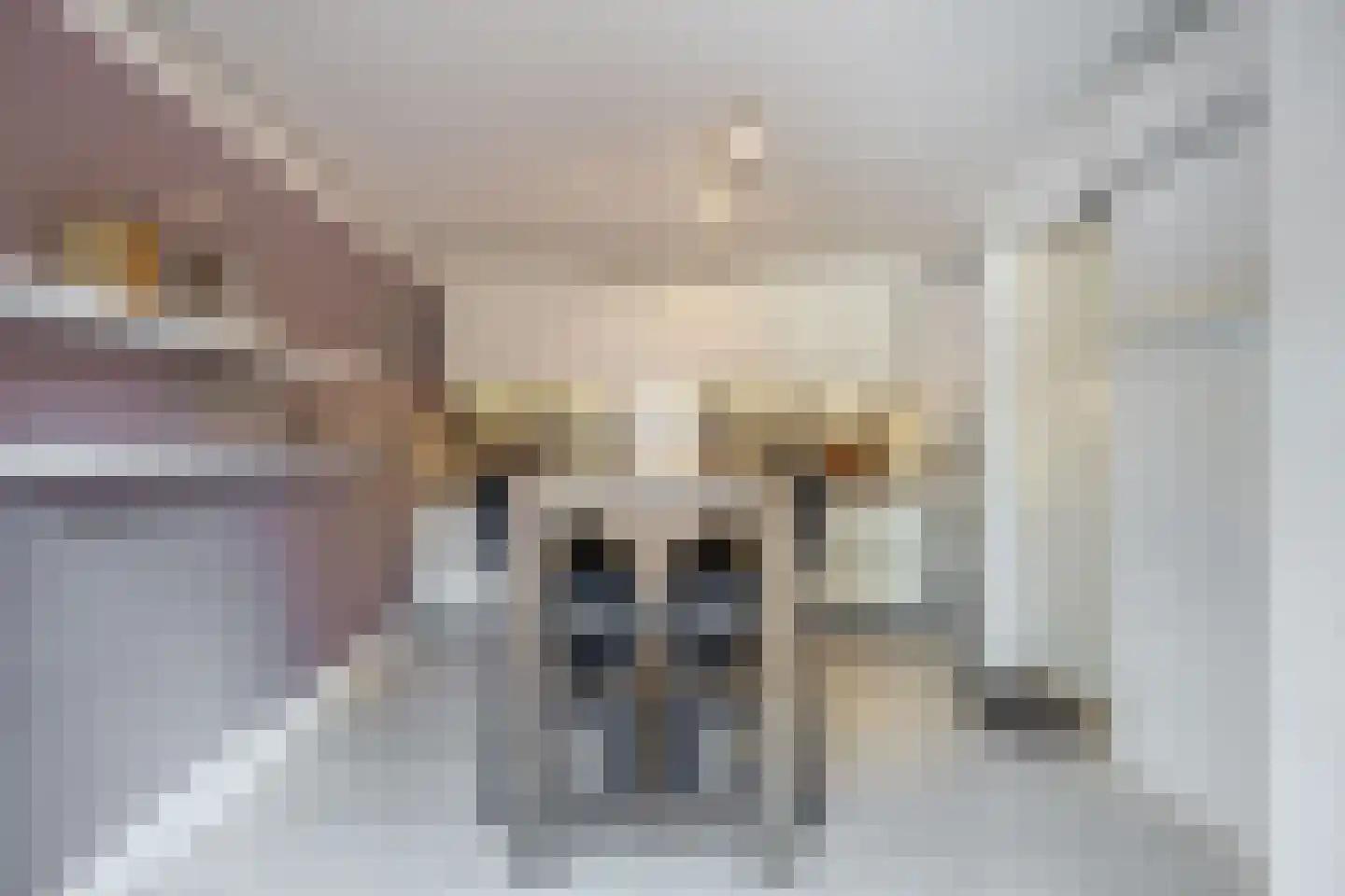 Rondostraat 68 Hellevoetsluis thumbnail 17