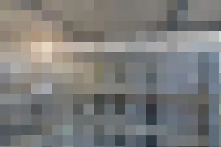 Rondsel 138 Halsteren thumbnail 11