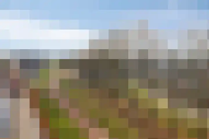 Rondsel 138 Halsteren thumbnail 24