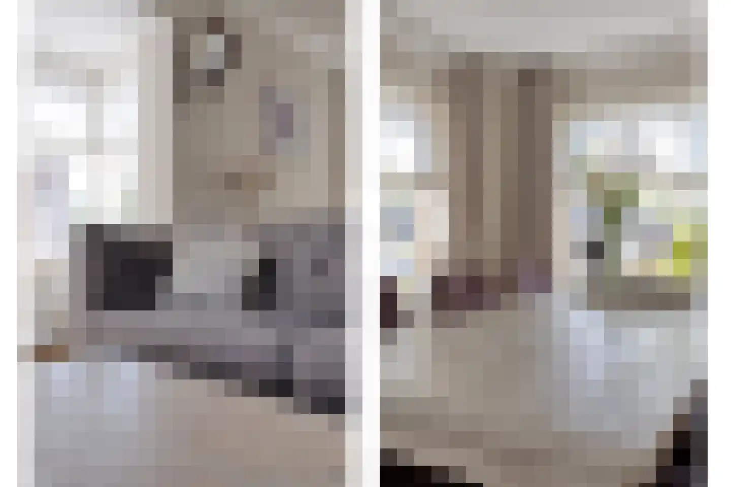 Rondsel 14 Oploo thumbnail 16