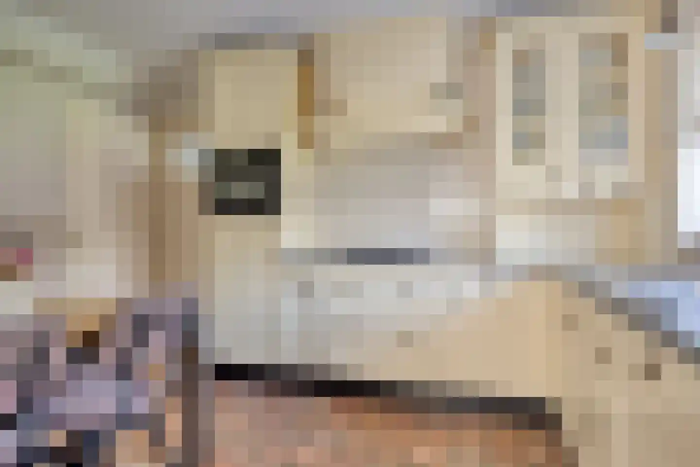 Rondsel 14 Oploo thumbnail 18