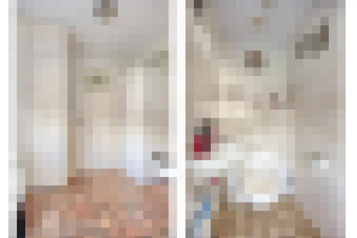 Rondsel 14 Oploo thumbnail 24