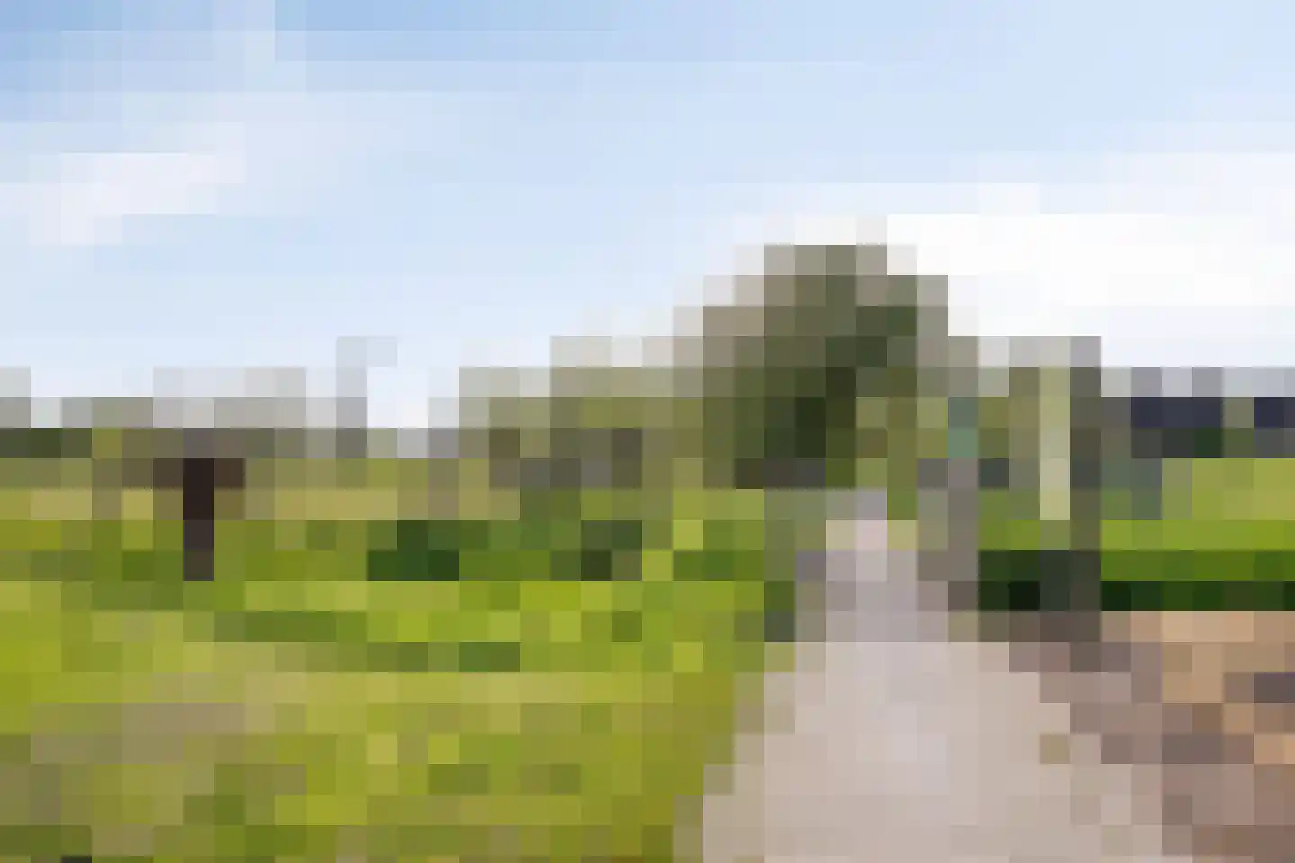 Rondsel 14 Oploo thumbnail 54