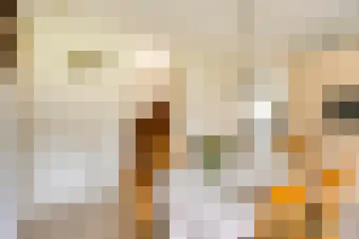 Rondsel 2 Oploo thumbnail 18
