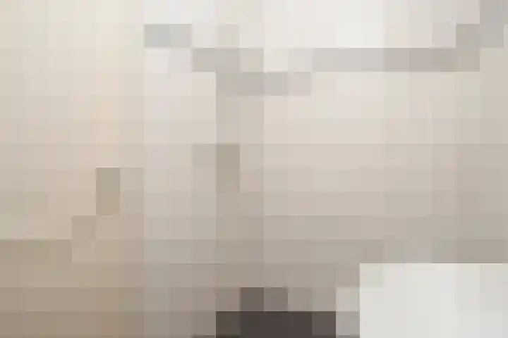 Rondsel 2 Oploo thumbnail 32