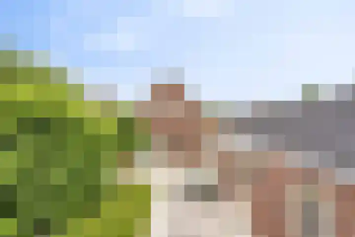 Rondsel 2 Oploo thumbnail 33