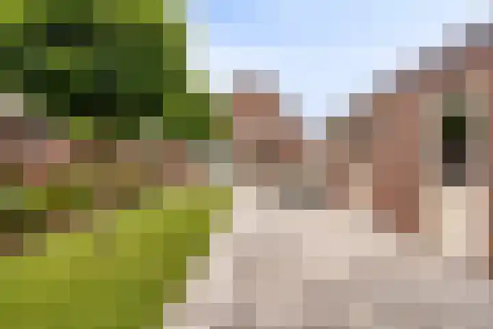 Rondsel 2 Oploo thumbnail 34