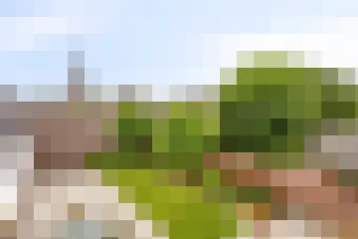 Rondsel 2 Oploo thumbnail 35