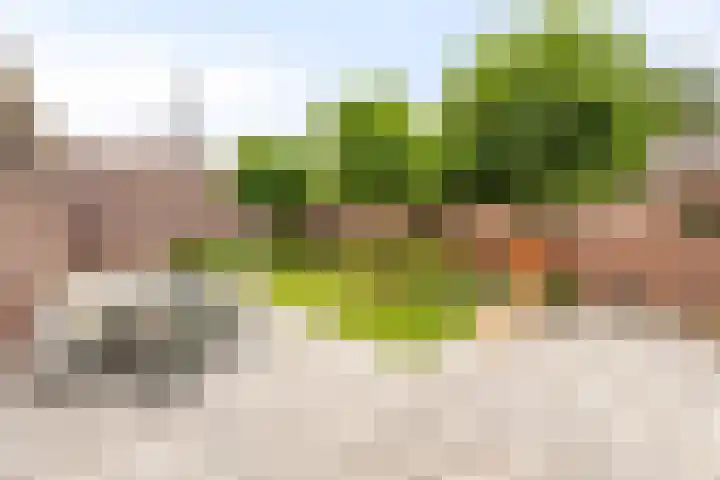 Rondsel 2 Oploo thumbnail 36