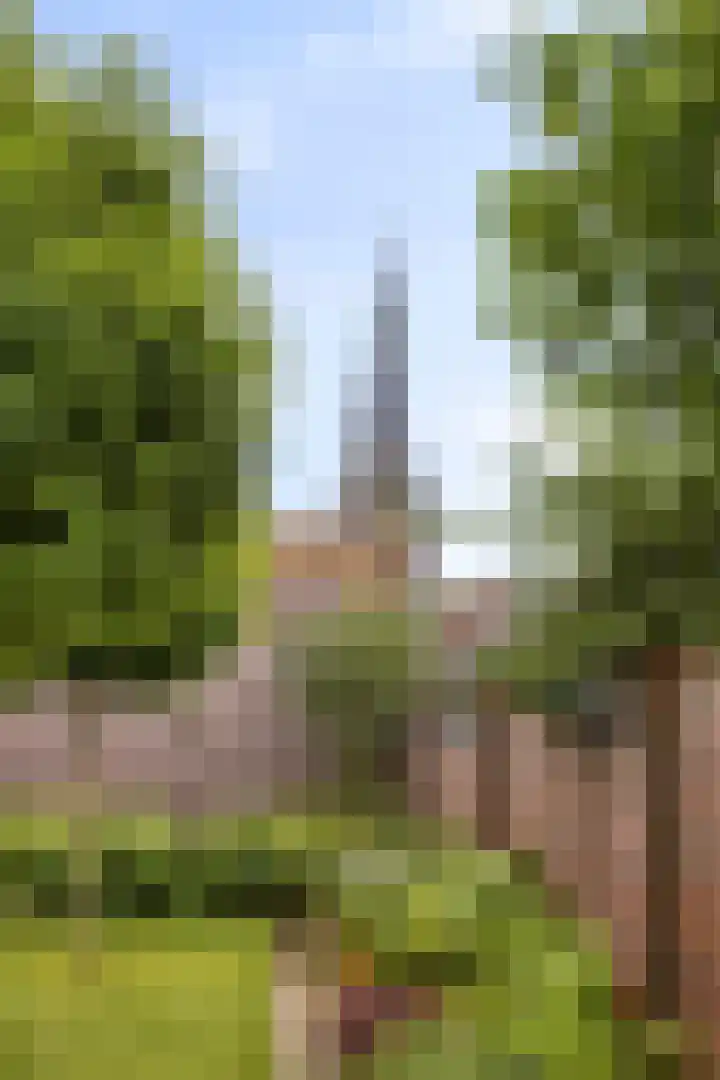 Rondsel 2 Oploo thumbnail 37