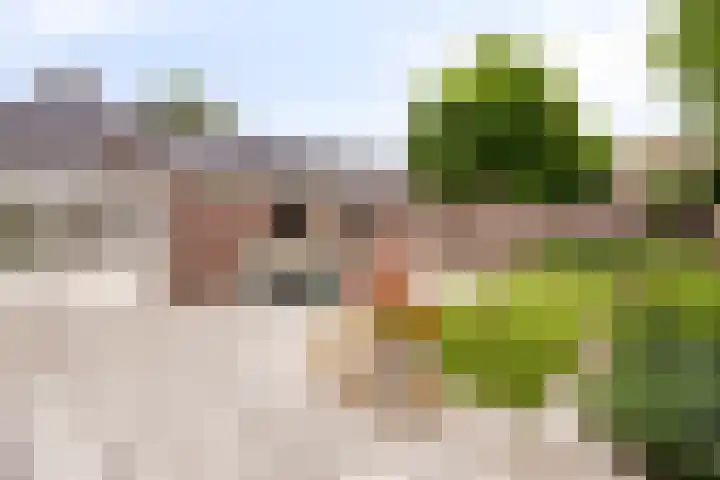 Rondsel 2 Oploo thumbnail 38