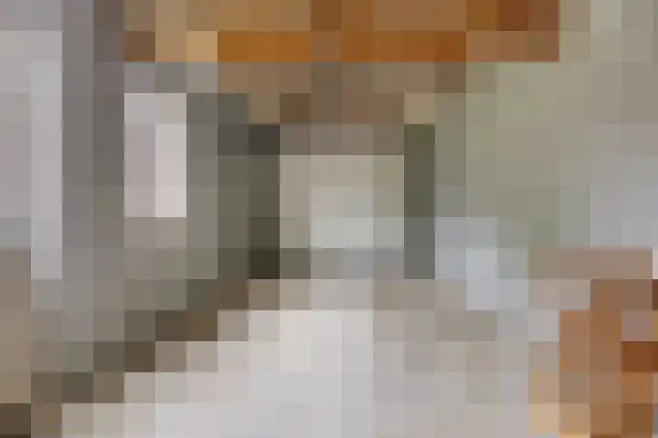 Rondsel 2 Oploo thumbnail 40