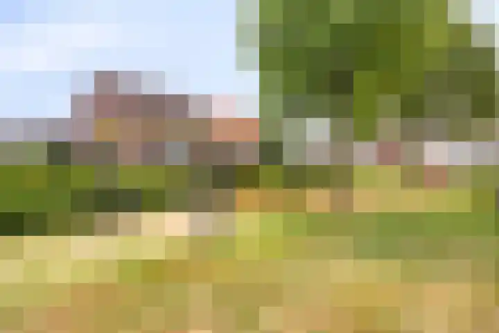 Rondsel 2 Oploo thumbnail 43