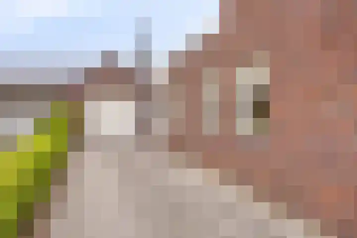 Rondsel 2 Oploo thumbnail 9