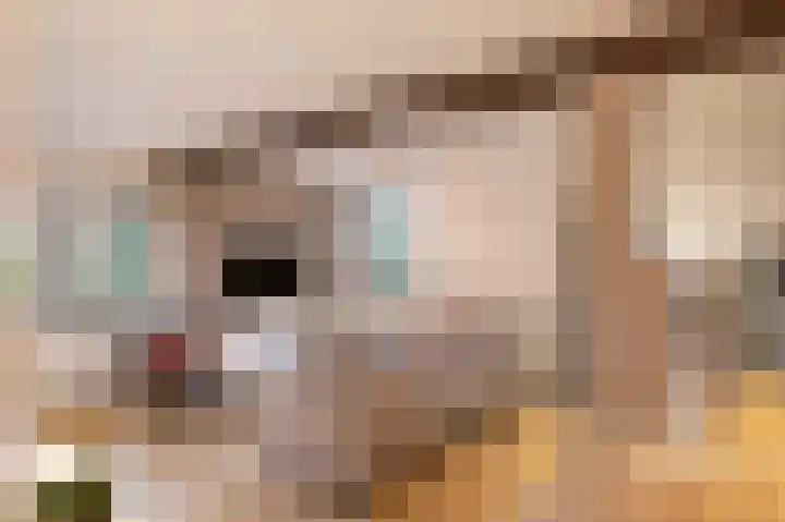 Rondstaai 1 Grevenbicht thumbnail 22