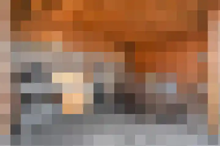Rondstaai 1 Grevenbicht thumbnail 38
