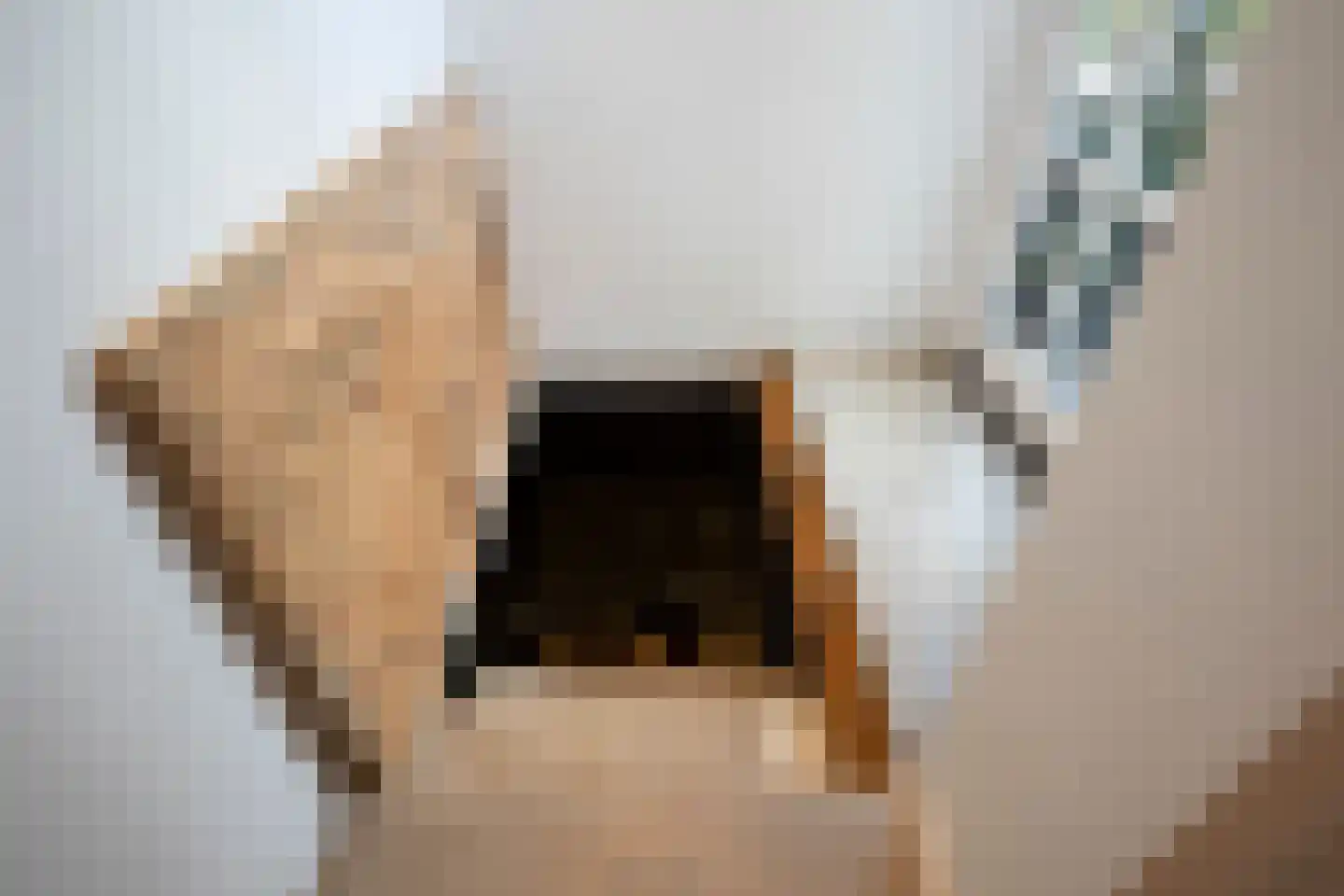 Rondstaai 5 Grevenbicht thumbnail 15