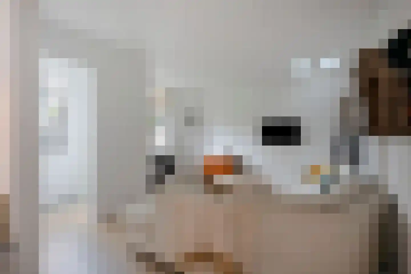 Rondstaai 5 Grevenbicht thumbnail 23