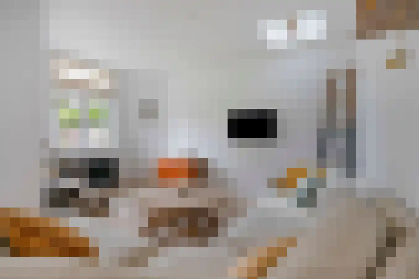 Rondstaai 5 Grevenbicht thumbnail 24