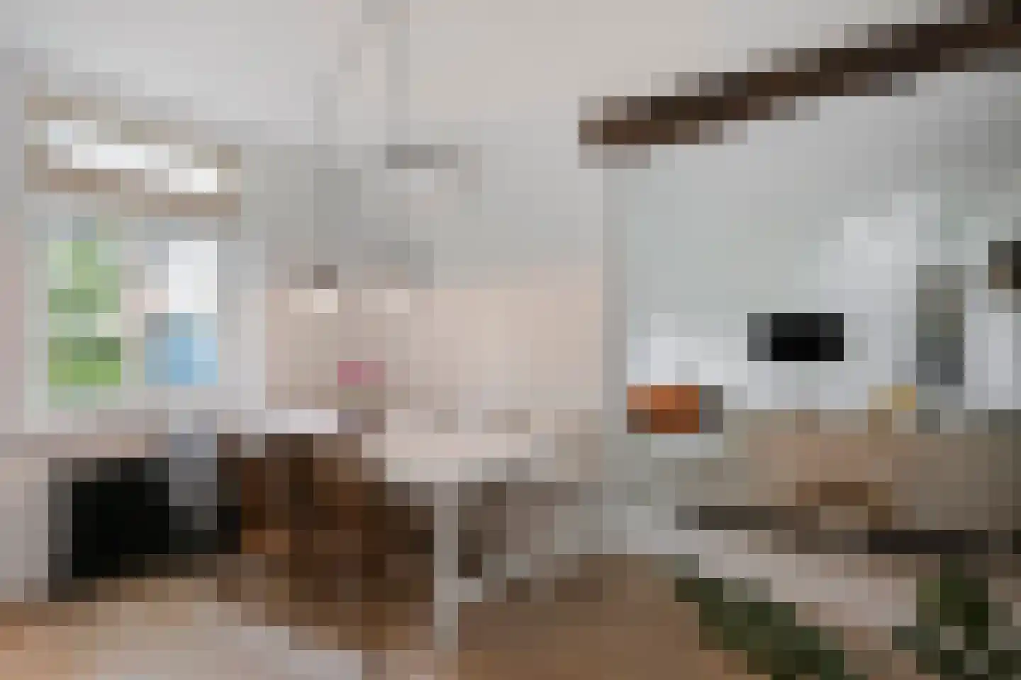 Rondstaai 5 Grevenbicht thumbnail 29
