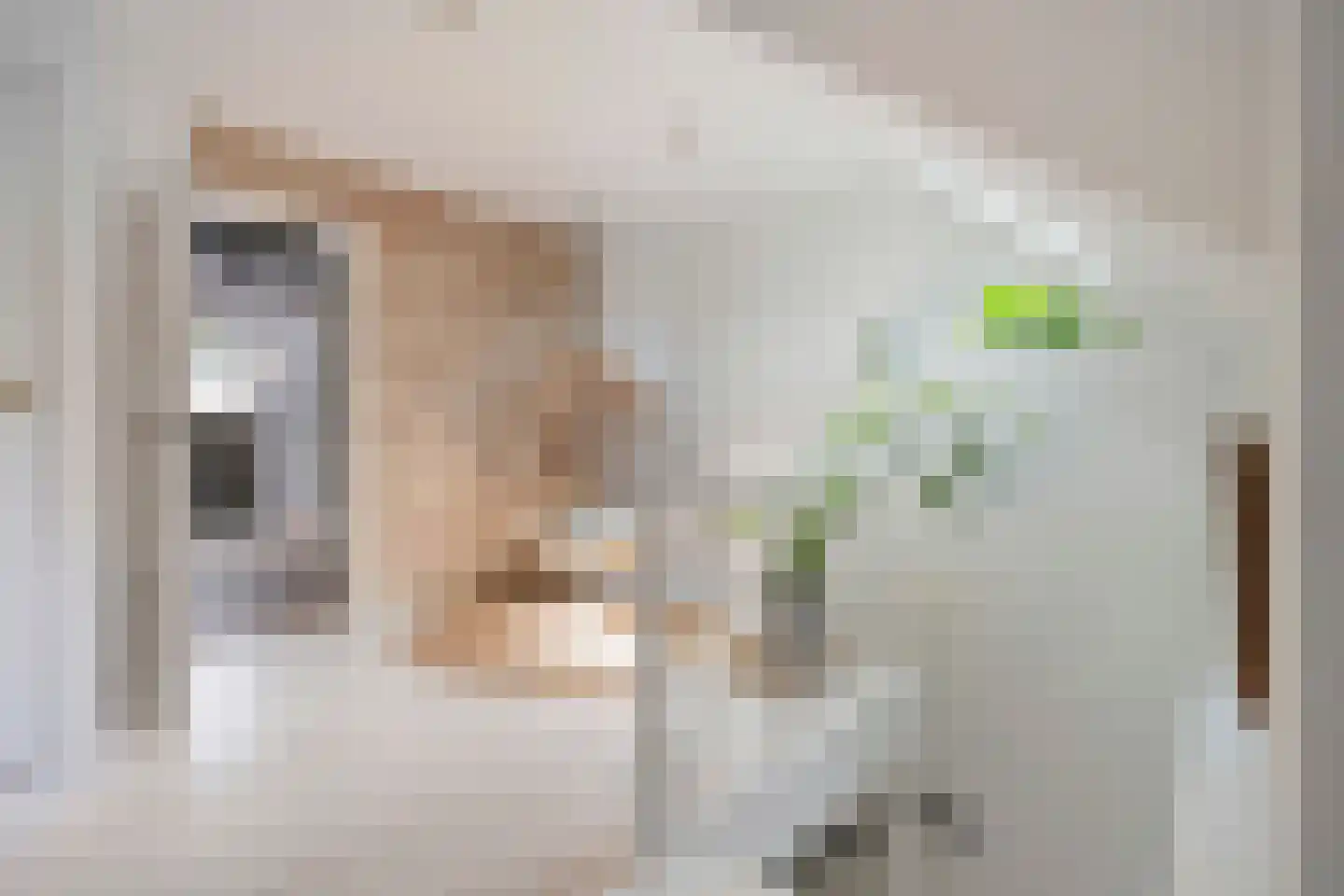 Rondstaai 5 Grevenbicht thumbnail 36