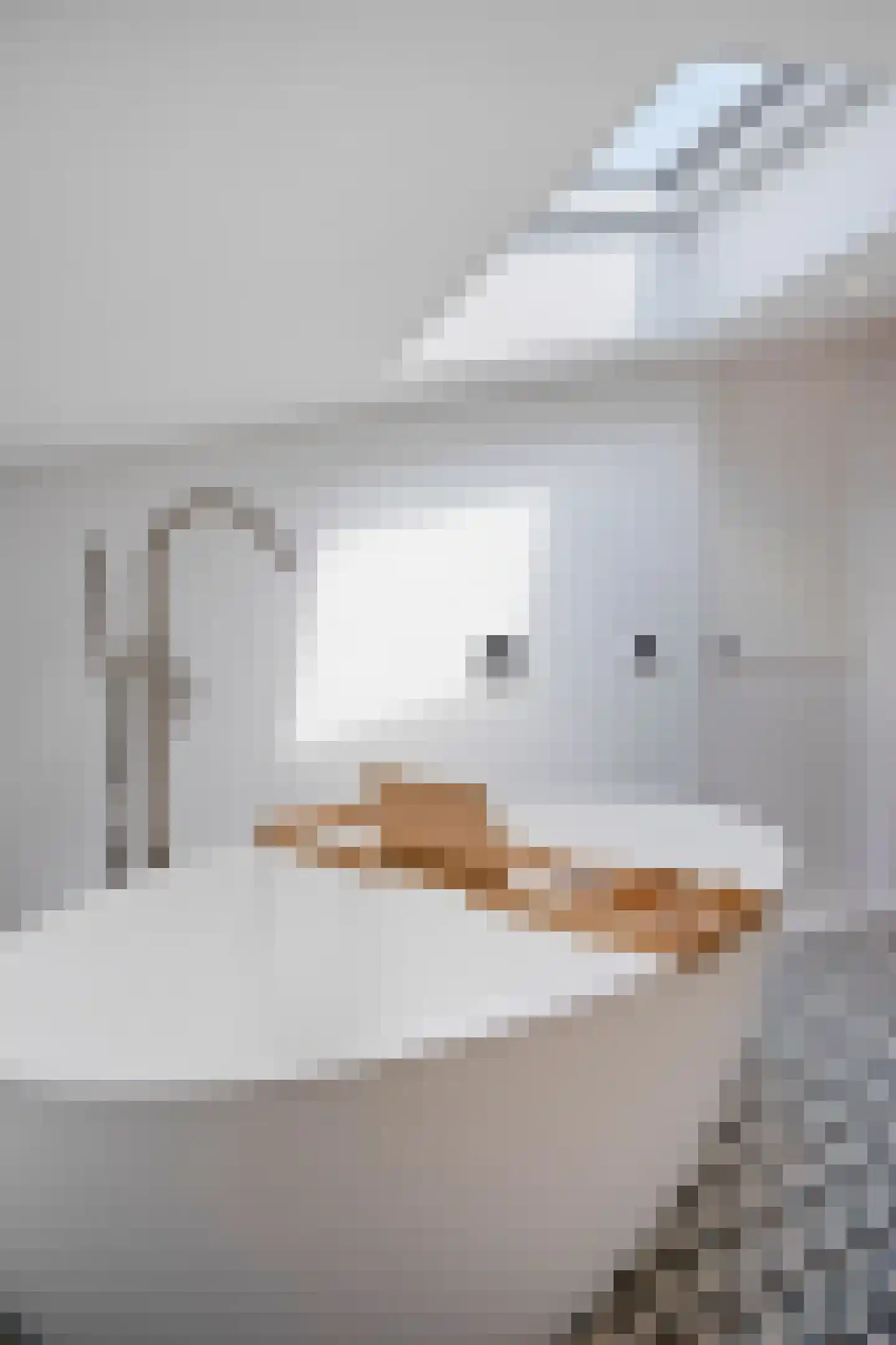Rondstaai 5 Grevenbicht thumbnail 39