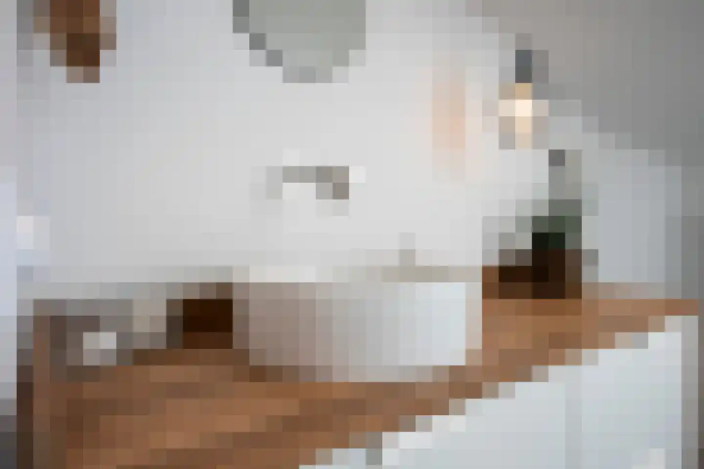 Rondstaai 5 Grevenbicht thumbnail 41