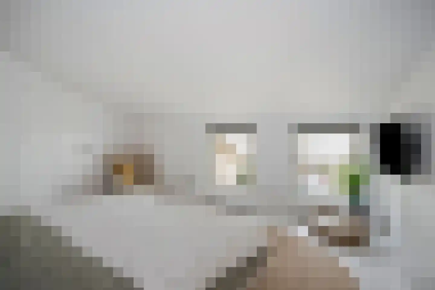 Rondstaai 5 Grevenbicht thumbnail 49