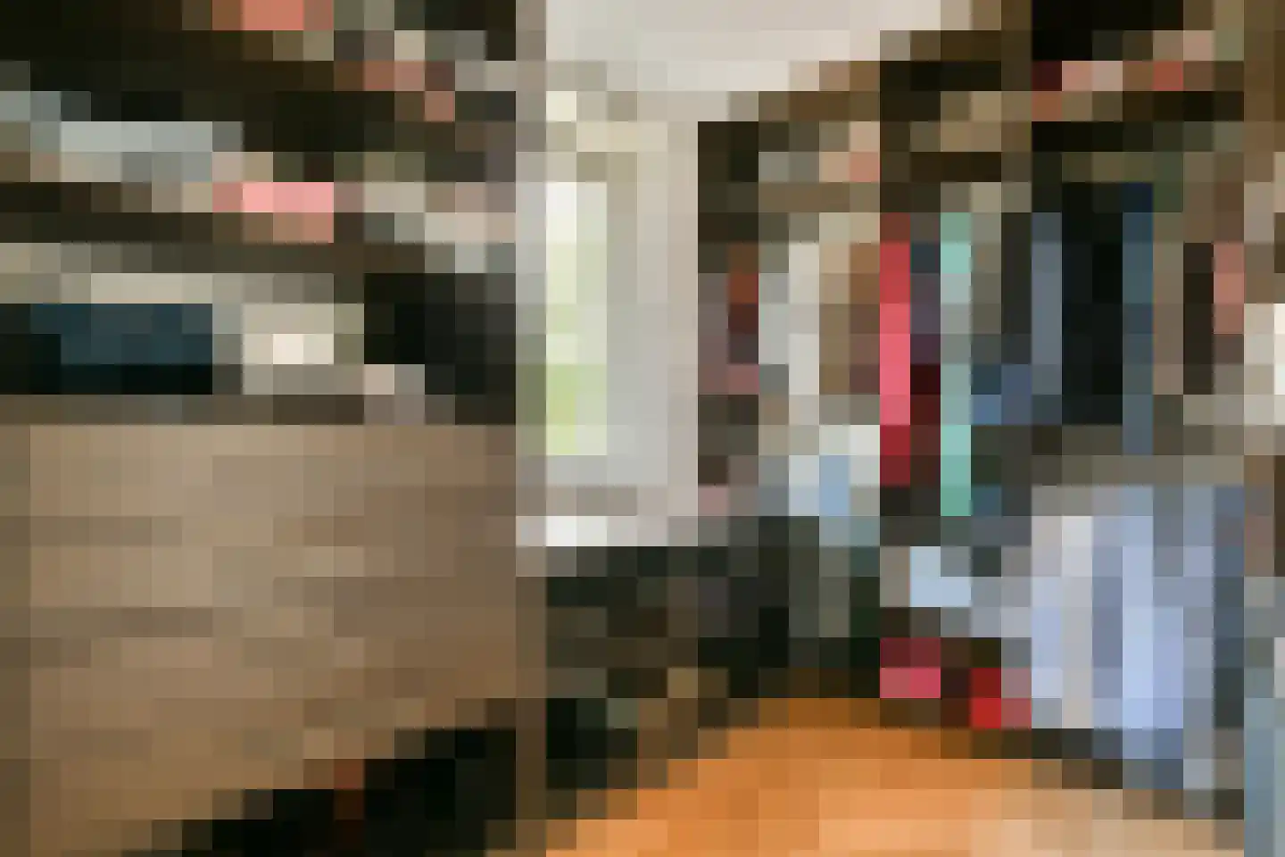 Rondtanderlaan 8 Sassenheim thumbnail 20