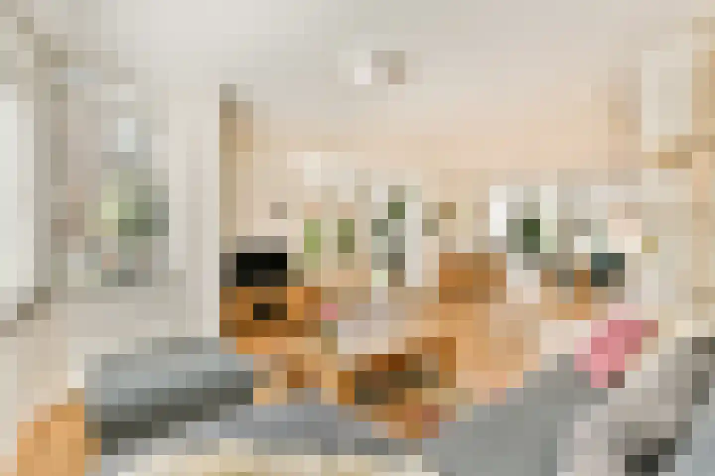 Rondtanderlaan 8 Sassenheim thumbnail 4